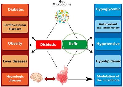 Kefir and Intestinal Microbiota Modulation: Implications in Human Health